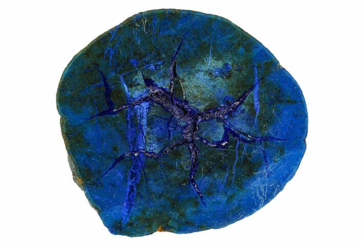 Vivid Blue, Cut/Polished Azurite Nodule - Siberia #175559
